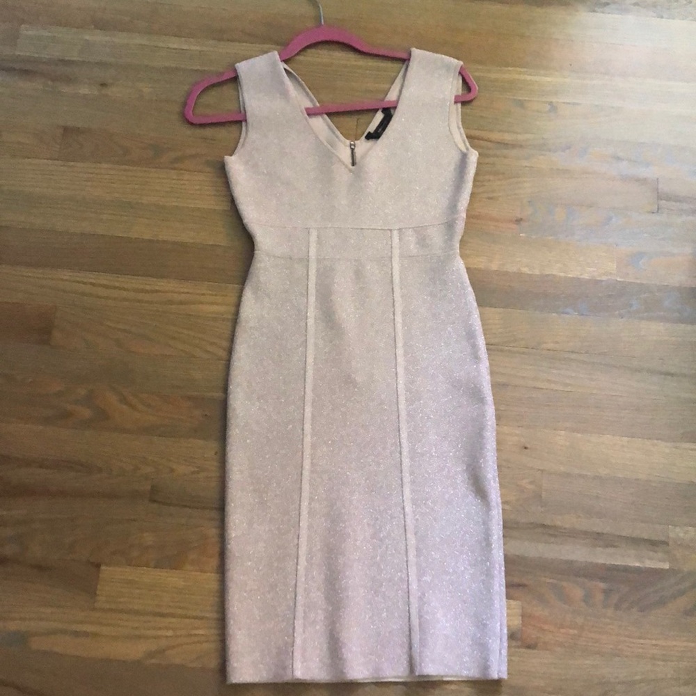 BCBG Bodycon Dress